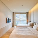 소노펠리체 델피노 이미지