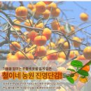 철이네농원