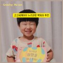 책으로 떠나는 세계 나라 놀이 | 4세 유아전집 추천 고고세계아이 책육아 후기 누리과정 세계문화전집