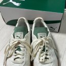 딥포레스트 이미지