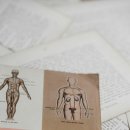 오대가한의원 이미지