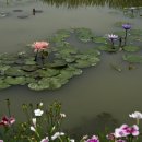 포토 프렌즈 이미지