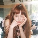 여기서헤어 이미지