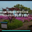 푸른숲요양병원 | 의료법인에스앤케이의료재단소래푸른숲요양병원 진료 과목 및 이용 안내