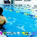 2019.03.07 에코스포츠센터 양주시 와이제이방방 수영 수업시간에.. 이미지