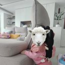 일만농장 | 1월 일상 : 9개월 아기 / 강원도 / 앵두 생일 / 귀산 캠핑 / 이유식 후기 / 홍게 회 / 고기 파티