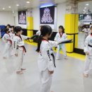 반월태권도장 | 용인대 안산타이거즈 태권도장: 체계적이고 전문적인 태권도 학원