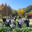 인천마곡초등학교 이미지