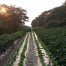 안동마애펜션 이미지