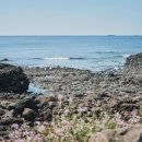 제주 올레길 4코스 이미지