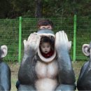 방어진흑염소 네이버블로그