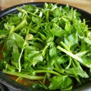 등촌샤브칼국수(안중점) 이미지