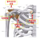 (주)상지정밀 | 관절경수술 후 물리치료 운동 가이드