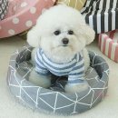 도트