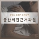 정우종합중기 | 울산회전근개파열 밤마다 어깨가 아프다면