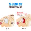 연세든든척의원 이미지