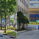 인도변 화단 이미지