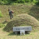 이화벌초