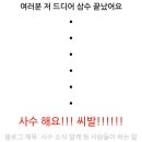 표리네 이미지