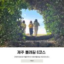 제주 올레길 6코스 | 제주 올레길 6코스 완주 아이와 쇠소깍다리에서 제주올레여행자센터까지