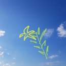 하늘그리기 | 챌린저스 하늘에 그림그리기 후기2 (추천인:소소시)