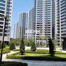 더복공인중개사사무소 이미지