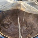 고온극복 발효유황의 역활 The role of sulfur in overcoming the high temperature 이미지