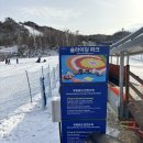 신한파크 | 알펜시아 눈썰매장 슬라이딩파크 아이랑 후기