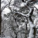 구라산성 이미지