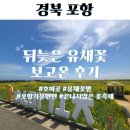 호미곶면 호미곶 작은도서관 | 호미곶 유채꽃 포항가볼만한곳 만개 주차 위치 꽃명소 다녀온 후기