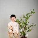 빛이라사진관 이미지