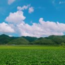 월외리자연회귀마을펜션 이미지