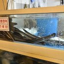 수락산풍천장어 이미지