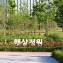 서울식물원 이미지