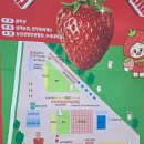 삼례공영주차장 | 2026 완주삼례딸기대축제 실제현장 다녀온 리얼후기