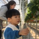 별마을농장 이미지