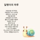 달팽이의하루 Daum카페