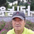 대우농원 | 양주 나리공원 천일홍 축제 여행후기