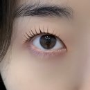 능곡프라자 | 시흥능곡속눈썹 늘래쉬 속눈썹펌 받고 온 후기