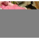 코~오 자자 이미지