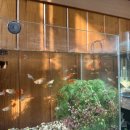 김여사밥사랑 이미지