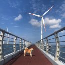 클랭블루 신창 이미지