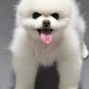 위런한방재활동물병원 이미지