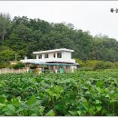의성시골농장
