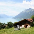 브리엔츠 이미지