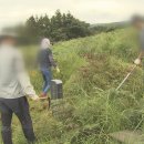 강정동-60 이미지