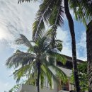 간이환경 | 발리 메루사카 누사두아 디럭스룸 투베드 간이침대 추가 4박 솔직 후기