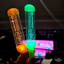 사호정 | 2026 흔한남매 팬미팅 해피냐하데이 후기 스카이아트홀 c구역 시야