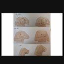 삼성미래여성병원 이미지