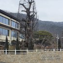 벌터정육점 | 충북 음성에서 특별한 가족모임 장소 원한다면 여기 벌터관광농원